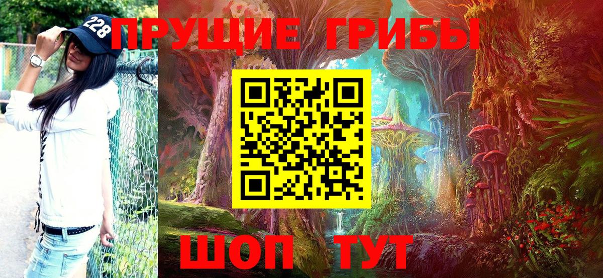 Псилоцибиновые грибы Cubensis  Вход с VPN  Ипатово 